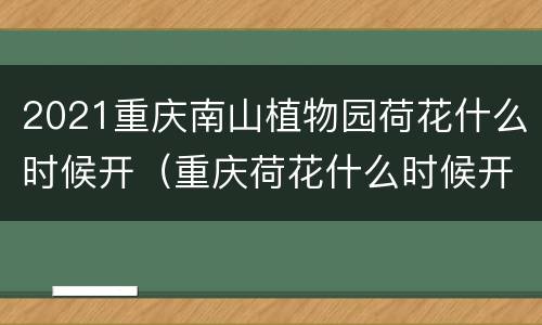 2021重庆南山植物园荷花什么时候开（重庆荷花什么时候开花）