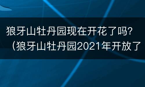 狼牙山牡丹园现在开花了吗？（狼牙山牡丹园2021年开放了吗）