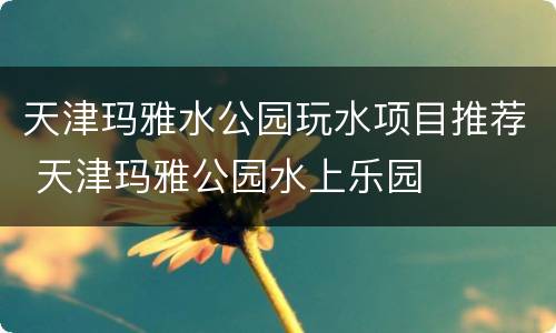 天津玛雅水公园玩水项目推荐 天津玛雅公园水上乐园