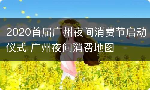2020首届广州夜间消费节启动仪式 广州夜间消费地图