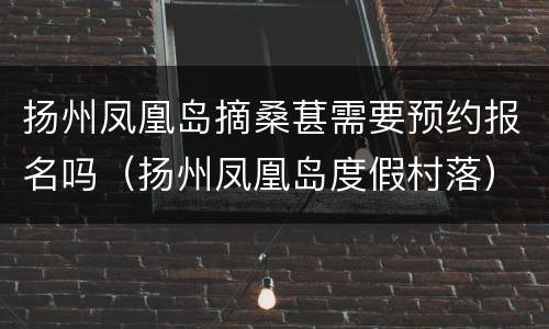 扬州凤凰岛摘桑葚需要预约报名吗（扬州凤凰岛度假村落）