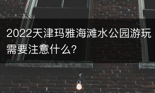 2022天津玛雅海滩水公园游玩需要注意什么？