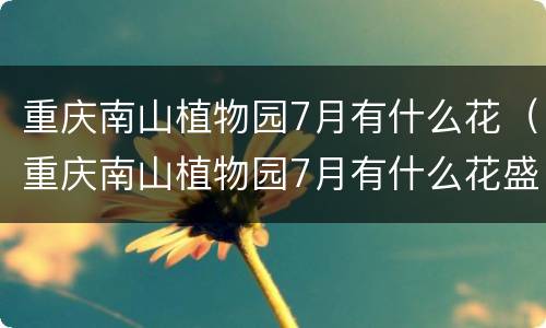 重庆南山植物园7月有什么花（重庆南山植物园7月有什么花盛开）