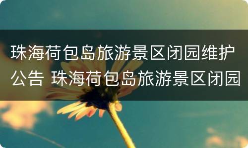 珠海荷包岛旅游景区闭园维护公告 珠海荷包岛旅游景区闭园维护公告公示