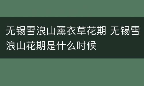 无锡雪浪山薰衣草花期 无锡雪浪山花期是什么时候