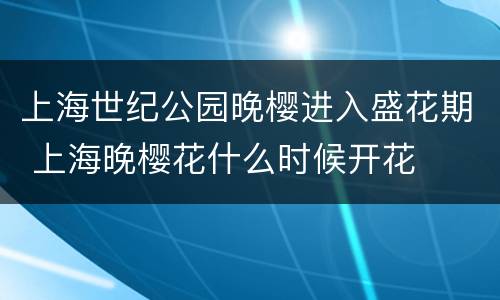 上海世纪公园晚樱进入盛花期 上海晚樱花什么时候开花