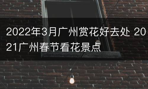 2022年3月广州赏花好去处 2021广州春节看花景点