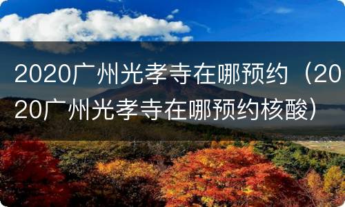 2020广州光孝寺在哪预约（2020广州光孝寺在哪预约核酸）