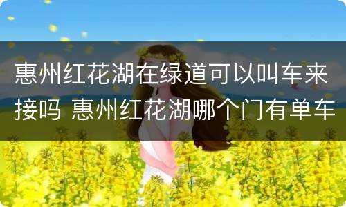 惠州红花湖在绿道可以叫车来接吗 惠州红花湖哪个门有单车
