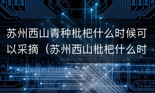 苏州西山青种枇杷什么时候可以采摘（苏州西山枇杷什么时候成熟）