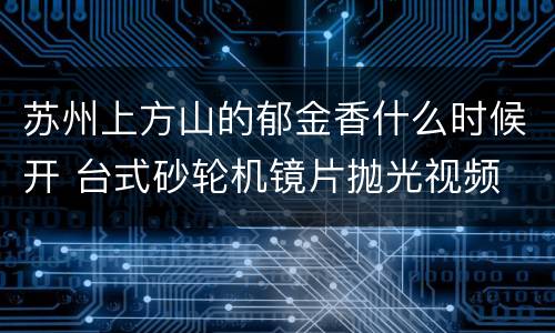 苏州上方山的郁金香什么时候开 台式砂轮机镜片抛光视频