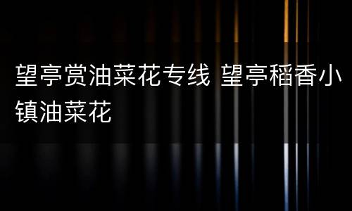 望亭赏油菜花专线 望亭稻香小镇油菜花