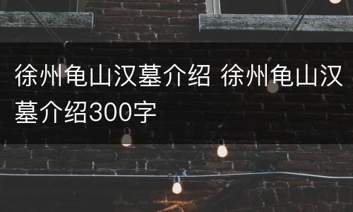 徐州龟山汉墓介绍 徐州龟山汉墓介绍300字