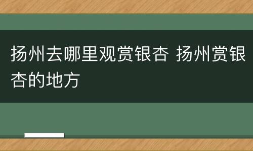 扬州去哪里观赏银杏 扬州赏银杏的地方
