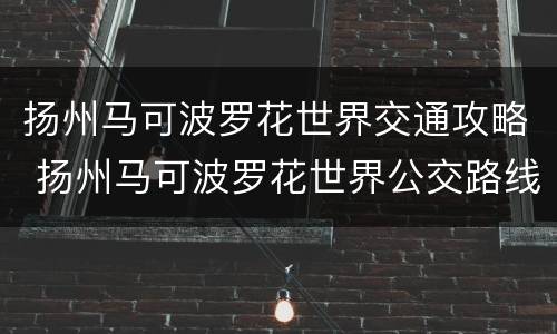 扬州马可波罗花世界交通攻略 扬州马可波罗花世界公交路线