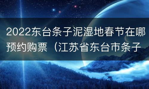 2022东台条子泥湿地春节在哪预约购票（江苏省东台市条子泥滨海滩涂湿地）
