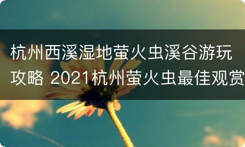 杭州西溪湿地萤火虫溪谷游玩攻略 2021杭州萤火虫最佳观赏时间