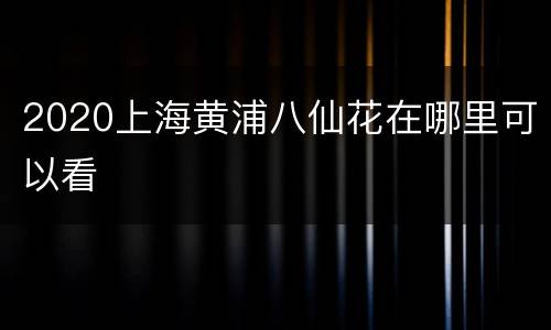2020上海黄浦八仙花在哪里可以看