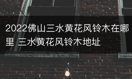 2022佛山三水黄花风铃木在哪里 三水黄花风铃木地址
