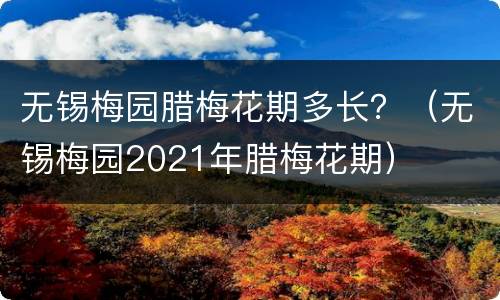 无锡梅园腊梅花期多长？（无锡梅园2021年腊梅花期）