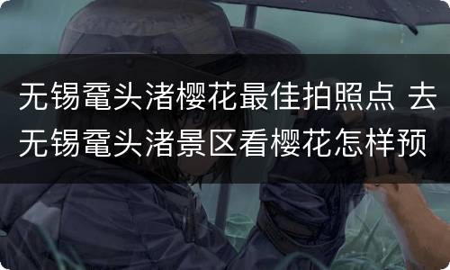 无锡鼋头渚樱花最佳拍照点 去无锡鼋头渚景区看樱花怎样预约