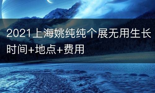 2021上海姚纯纯个展无用生长时间+地点+费用