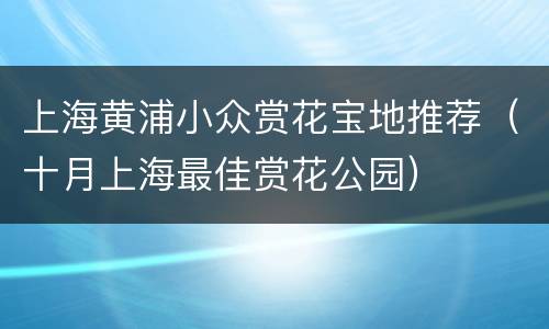 上海黄浦小众赏花宝地推荐（十月上海最佳赏花公园）
