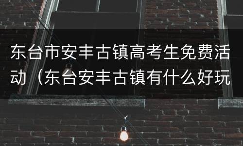 东台市安丰古镇高考生免费活动（东台安丰古镇有什么好玩的）