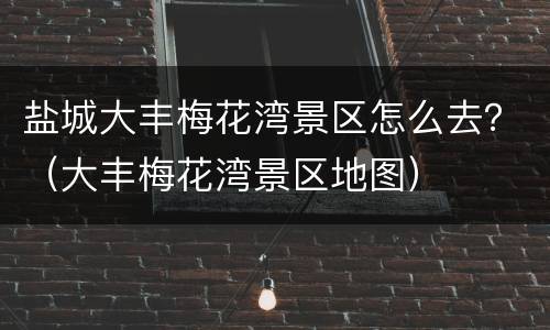 盐城大丰梅花湾景区怎么去？（大丰梅花湾景区地图）