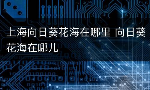 上海向日葵花海在哪里 向日葵花海在哪儿