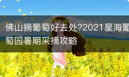佛山摘葡萄好去处?2021星海葡萄园暑期采摘攻略