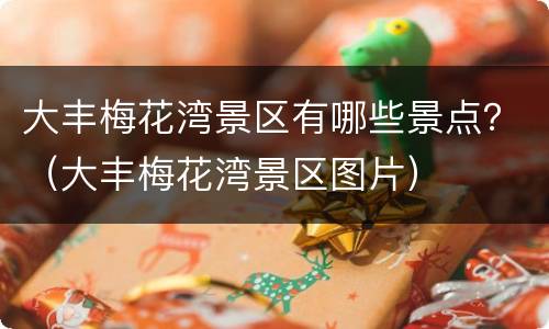 大丰梅花湾景区有哪些景点？（大丰梅花湾景区图片）