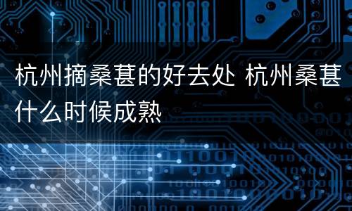 杭州摘桑葚的好去处 杭州桑葚什么时候成熟