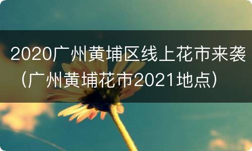 2020广州黄埔区线上花市来袭（广州黄埔花市2021地点）