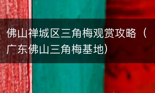 佛山禅城区三角梅观赏攻略（广东佛山三角梅基地）