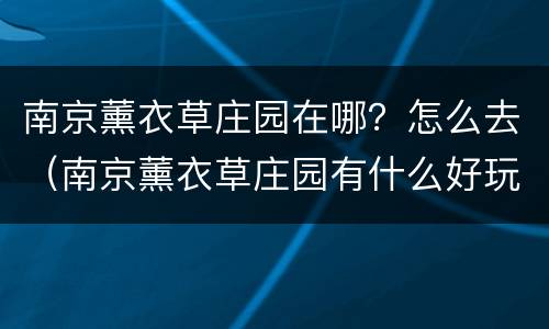南京薰衣草庄园在哪？怎么去（南京薰衣草庄园有什么好玩的）