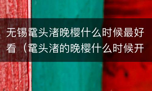 无锡鼋头渚晚樱什么时候最好看（鼋头渚的晚樱什么时候开）