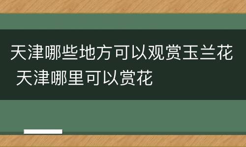 天津哪些地方可以观赏玉兰花 天津哪里可以赏花