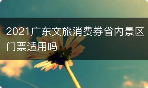 2021广东文旅消费券省内景区门票适用吗
