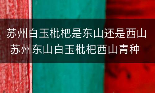 苏州白玉枇杷是东山还是西山 苏州东山白玉枇杷西山青种