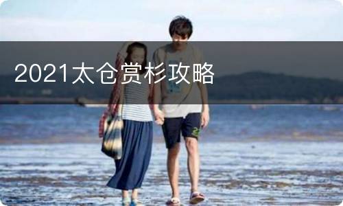 2021太仓赏杉攻略