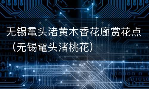 无锡鼋头渚黄木香花廊赏花点（无锡鼋头渚桃花）