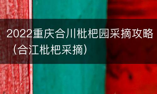 2022重庆合川枇杷园采摘攻略（合江枇杷采摘）