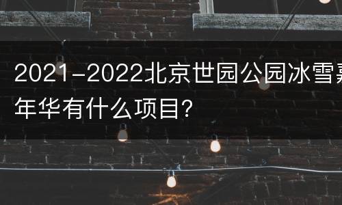 2021-2022北京世园公园冰雪嘉年华有什么项目？