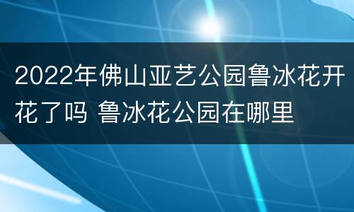 2022年佛山亚艺公园鲁冰花开花了吗 鲁冰花公园在哪里