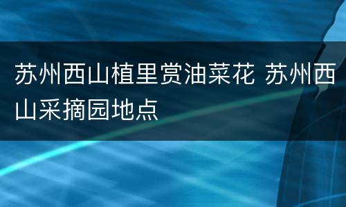 苏州西山植里赏油菜花 苏州西山采摘园地点