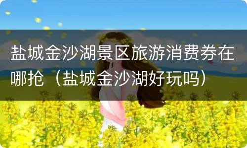 盐城金沙湖景区旅游消费券在哪抢（盐城金沙湖好玩吗）