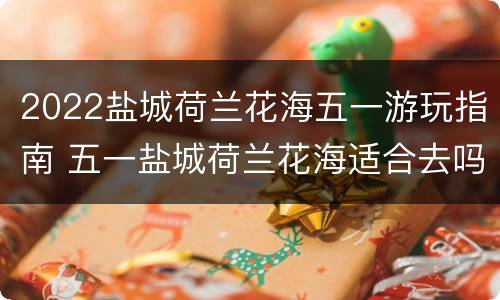 2022盐城荷兰花海五一游玩指南 五一盐城荷兰花海适合去吗