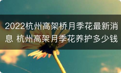 2022杭州高架桥月季花最新消息 杭州高架月季花养护多少钱1盆?