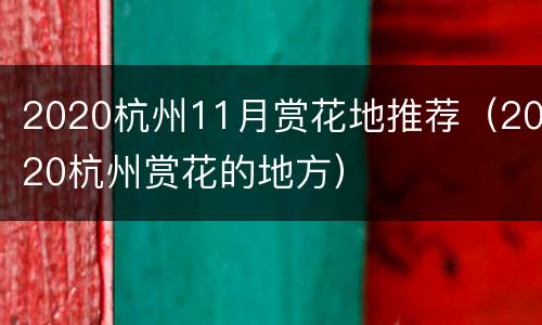 2020杭州11月赏花地推荐（2020杭州赏花的地方）